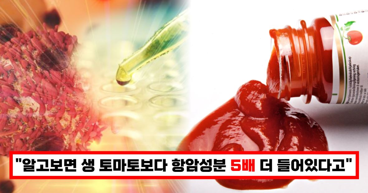 토마토케첩의 항암효과
